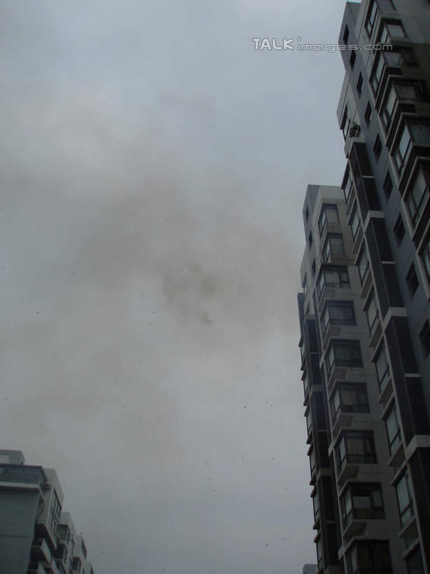 无人,家,竖图,室外,白天,仰视,鞭炮,房屋,屋子,乌云,烟雾,云,阴天,云朵,公寓,云彩,洋房,楼房,住宅,天空,天,昏暗,阴沉,爆竿,爆仗,爆竹,鞭爆,炮仗,彩图,低角度拍摄,房子,shslj1