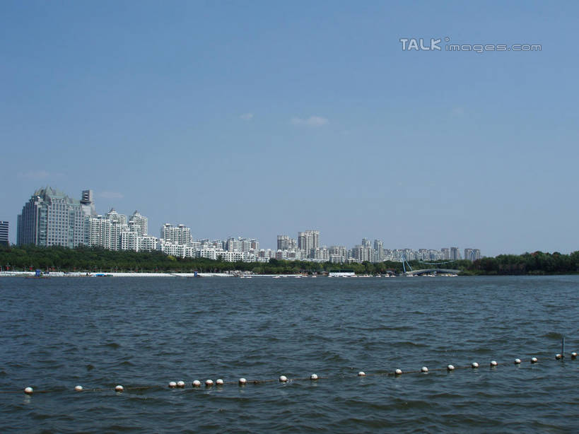 无人,公园,家,高楼大厦,横图,室外,白天,正面,度假,湖,湖泊,美景,水,植物,城市风光,城市,大厦,建筑,摩天大楼,上海,中国,亚洲,阴影,波纹,光线,标志,影子,房屋,屋子,湖面,景观,水流,水面,云,云朵,公寓,涟漪,云彩,娱乐,标识,浦东,洋房,楼房,住宅,树,树木,蓝色,绿色,白云,蓝天,水纹,天空,阳光,自然,波浪,湖水,人工湖,天,享受,休闲,景色,放松,浮标,世纪公园,生长,晴朗,成长,申,浦东新区,东亚,上海市,中华人民共和国,沪,华东地区,水晕,航标,晴空,彩图,房子,大楼,高层建筑,高楼,摩天楼,航行标志,助航标志,浦东中央公园,shslj1