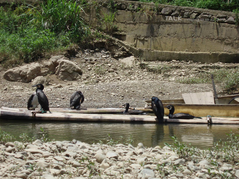 无人,站,横图,室外,白天,正面,旅游,度假,草地,草坪,湖,湖泊,石头,美景,沙滩,水,植物,船,鸟,中国,亚洲,阴影,波纹,光线,鸟类,沙子,石子,影子,河岸,河滩,湖面,景观,水流,水面,木船,涟漪,沙地,注视,娱乐,浙江,草,浙江省,绿色,水纹,阳光,自然,交通工具,波浪,湖水,观察,看,站着,享受,休闲,景色,放松,千岛湖,观看,察看,舟,关注,自然风光,载具,东亚,中华人民共和国,华东地区,水晕,浙,石块,岩石,站立,彩图,全身,淳安,淳安县,新安江水库,shslj1