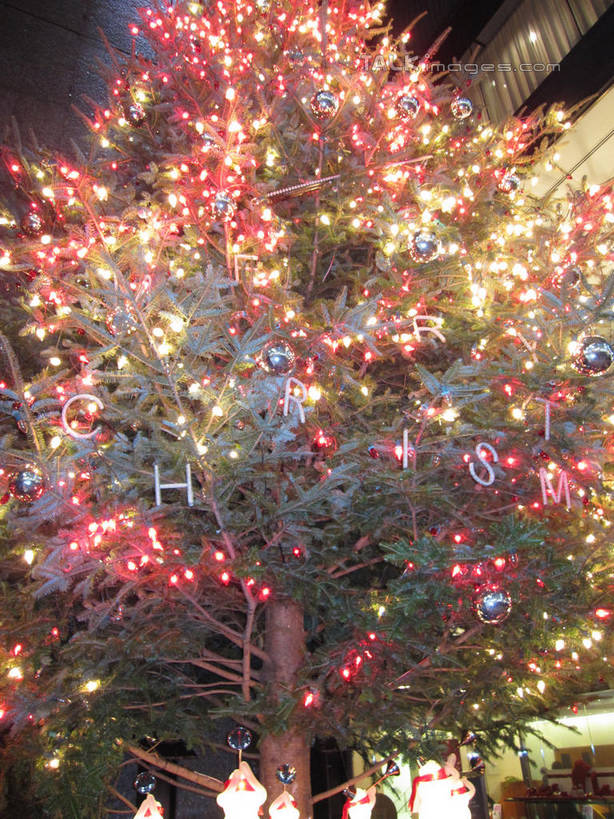 无人,商店,竖图,室外,夜晚,仰视,购物,度假,消费,美景,植物,城市风光,超市,城市,商场,夜景,照明,东京,日本,圣诞节,亚洲,阴影,节日,庆祝,装饰,光线,彩灯,挂饰,影子,景观,灯光,圣诞树,圣诞球,中央区,文化,娱乐,灯,球,树,树木,绿色,自然,灯具,庆典,享受,休闲,球体,银座,景色,放松,金融,百货,花灯,生长,成长,纪念,华丽,修饰,照亮,点缀,照明设备,选购,贸易,圣诞灯,百货公司,东亚,本州,关东地方,本州岛,日本国,东京都,衬托,美观,雅致,雅观,血拼,彩图,低角度拍摄,购物商场,购物中心,商业中心,shslj1