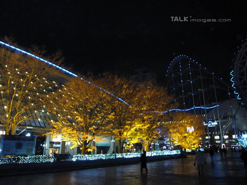 无人,游乐园,商店,横图,室外,夜晚,仰视,购物,度假,游戏,消费,美景,植物,城市风光,超市,城市,商场,游乐场,照明,东京,日本,圣诞节,亚洲,阴影,节日,庆祝,光线,彩灯,影子,景观,摩天轮,灯光,中央区,玩,文化,娱乐,灯,树,树木,绿色,自然,灯具,庆典,享受,休闲,银座,景色,放松,金融,百货,花灯,游乐设施,生长,成长,活动,纪念,照亮,照明设备,发泄,消遣,智力,选购,贸易,圣诞灯,百货公司,东亚,本州,费里斯大转轮,关东地方,本州岛,日本国,东京都,宣泄,血拼,乐园,主题公园,游艺设施,玩耍,嬉戏,彩图,低角度拍摄,购物商场,购物中心,商业中心,人造公园,主题乐园,shslj1