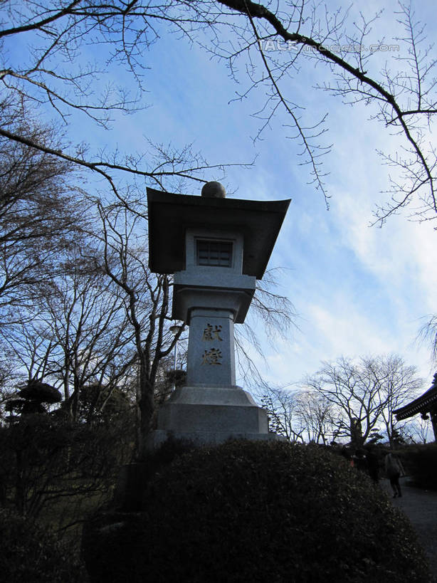 无人,竖图,室外,白天,仰视,旅游,度假,草地,草坪,美景,植物,照明,长崎,日本,亚洲,阴影,光线,灯笼,影子,景观,娱乐,草,树,树木,蓝色,绿色,蓝天,天空,阳光,自然,灯具,天,享受,休闲,景色,放松,平和公园,生长,晴朗,成长,照亮,照明设备,自然风光,东亚,和平公园,万里无云,日本国,长崎县,九州本岛,九州,九州岛,九州地方,长崎市,县厅,平和纪念公园,长崎平和公园,长崎平和纪念公园,晴空,晴空万里,彩图,低角度拍摄,石灯笼,shslj1