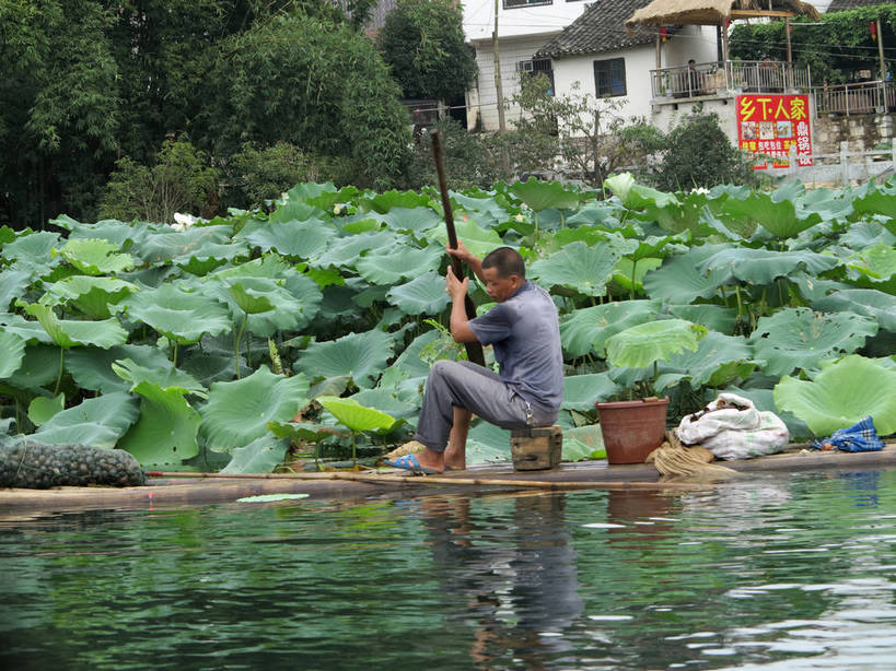 划船,东方人,一个人,家,坐,横图,室外,白天,侧面,河流,美景,水,鞋子,叶子,桂林,中国,亚洲,仅一个男性,仅一个人,仅一个中年男性,一排,握,服装,裤子,整齐,木制,桶,房屋,屋子,河水,景观,水流,荷叶,运输工具,注视,休闲裤,休闲装,黄种人,楼房,住宅,排列,一个,衣服,自然,木制品,容器,拖鞋,交通工具,低头,观察,看,休闲,休闲服,景色,握着,服饰,单个,观看,储藏,广西,察看,舒适,储存,队列,关注,自然风光,载具,东亚,漓江,木筏,阳朔,广西壮族自治区,中华人民共和国,桂林市,桂,华南地区,莲叶,方便,垂头,荡舟,水上交通工具,阳朔县,男人,男性,中年男性,亚洲人,叶,叶片,坐着,彩图,全身,房子,遇龙河,贮存,shslj1