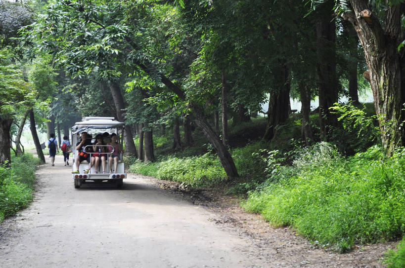 东方人,坐,走,横图,室外,白天,正面,旅游,度假,草地,草坪,美景,森林,树林,植物,道路,路,游览车,春川,南怡岛,韩国,亚洲,一辆,行人,游客,游人,服装,包,景观,小路,树桩,交通,许多人,旅行包,休闲装,黄种人,娱乐,路人,旅客,车,草,树,树干,树木,衣服,绿色,自然,背包,交通工具,一群人,享受,休闲,休闲服,木桩,景色,放松,服饰,生长,成长,自然风光,载具,东亚,旅游包,大韩民国,江原道,春川市,过客,男人,男性,年轻男性,年轻女性,女人,女性,中年男性,中年女性,亚洲人,步行,散步,走路,坐着,彩图,全身,道,双肩包,shslj1,电动游览车