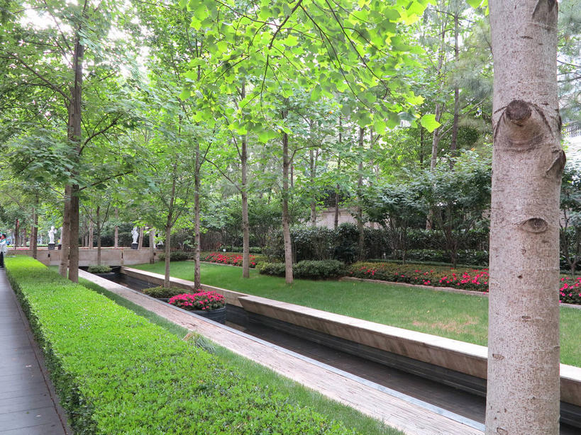 无人,横图,室外,白天,正面,旅游,度假,草地,草坪,美景,植物,道路,路,公路,上海,中国,亚洲,盛开,景观,交通,花蕾,娱乐,草,花,花瓣,花朵,鲜花,树,树木,红色,绿色,自然,花苞,花蕊,享受,休闲,景色,放松,生长,成长,申,自然风光,黄浦区,东亚,新闸路,静安区,上海市,中华人民共和国,沪,华东地区,马路,彩图,shslj1