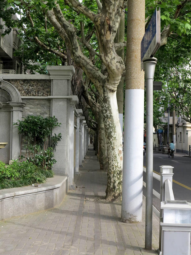 无人,家,竖图,室外,白天,正面,度假,美景,植物,城市风光,城市,道路,路,指示牌,公路,上海,中国,亚洲,英文,标志,路标,文字,字符,字母,房屋,墙,屋子,景观,公寓,交通,娱乐,标识,洋房,楼房,路牌,墙壁,墙面,住宅,树,树木,绿色,自然,享受,休闲,景色,放松,生长,成长,英文字母,申,黄浦区,东亚,新闸路,静安区,上海市,中华人民共和国,沪,华东地区,马路,彩图,房子,shslj1