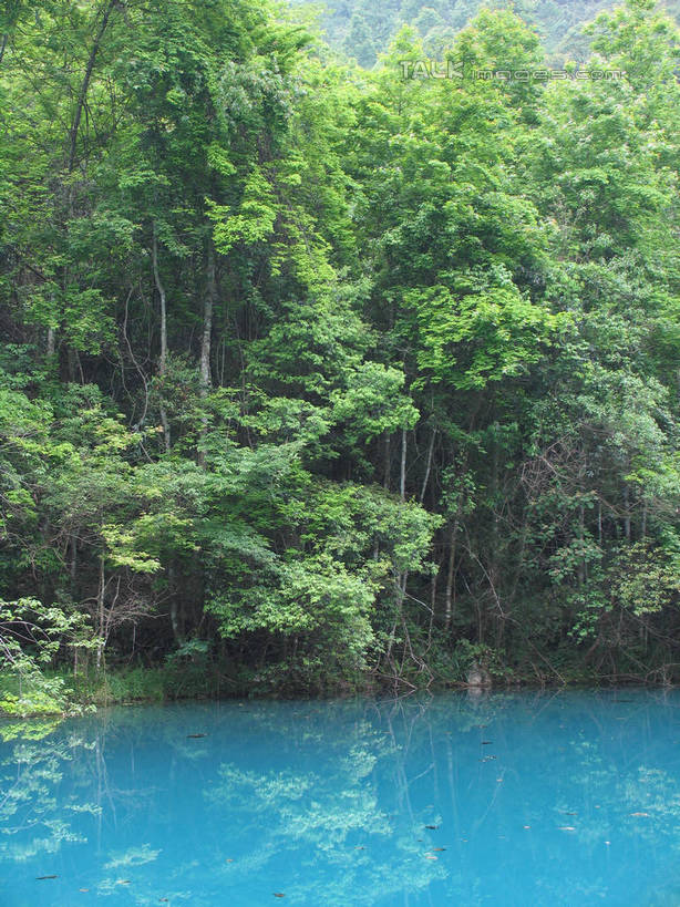 无人,竖图,室外,白天,正面,旅游,度假,湖,湖泊,美景,森林,树林,水,植物,中国,亚洲,阴影,波纹,光线,影子,湖面,景观,水流,水面,涟漪,娱乐,树,树木,绿色,倒影,水纹,阳光,自然,波浪,湖水,享受,休闲,景色,放松,生长,成长,倒映,自然风光,东亚,贵州,贵州省,中华人民共和国,水晕,黔,西南地区,反照,彩图,shtjw1