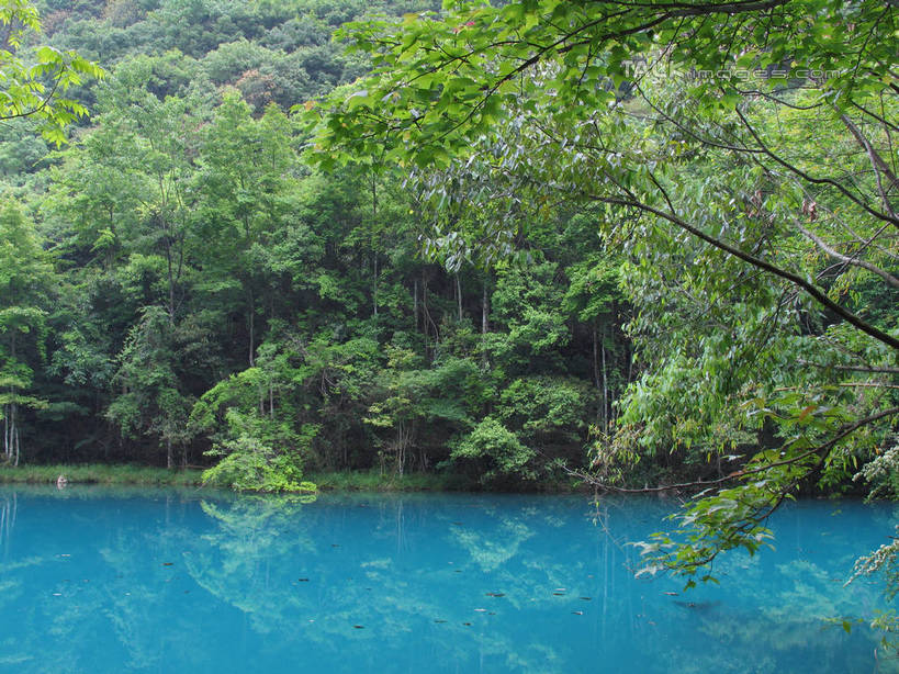无人,横图,室外,白天,正面,旅游,度假,湖,湖泊,美景,森林,树林,水,植物,中国,亚洲,阴影,波纹,光线,影子,湖面,景观,水流,水面,涟漪,娱乐,树,树木,绿色,倒影,水纹,阳光,自然,波浪,湖水,享受,休闲,景色,放松,生长,成长,倒映,自然风光,东亚,贵州,贵州省,中华人民共和国,水晕,黔,西南地区,反照,彩图,shtjw1