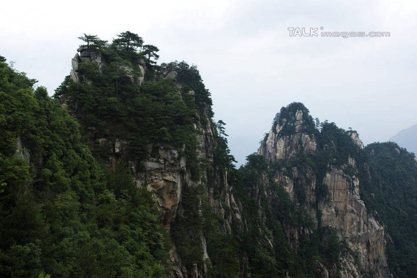 无人,横图,室外,白天,正面,旅游,度假,美景,山,山脉,树林,植物,中国,亚洲,阴影,光线,影子,景观,山峰,云,云朵,山峦,云彩,娱乐,大明山,临安,浙江,树,树木,浙江省,蓝色,绿色,白云,蓝天,天空,阳光,自然,群山,天,享受,休闲,景色,放松,生长,晴朗,成长,杭州,自然风光,东亚,杭州市,中华人民共和国,华东地区,省会,浙,晴空,彩图,临安市,大明山景区,大明山风景名胜区,shwf1