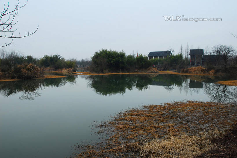 无人,公园,家,横图,室外,白天,正面,旅游,度假,河流,美景,水,植物,芦苇,叶子,中国,亚洲,一堆,许多,阴影,堆叠,堆积,光线,影子,房屋,屋子,河水,景观,水流,粽叶,绿叶,枝条,很多,娱乐,浙江,楼房,住宅,树,树木,树枝,浙江省,蓝色,绿色,蓝天,天空,阳光,自然,天,享受,休闲,嫩叶,瓦房,景色,放松,生长,晴朗,成长,杭州,西溪,堆,自然风光,东亚,杭州市,万里无云,中华人民共和国,华东地区,省会,浙,箬叶,芦苇叶,虬枝,枝杈,西湖区,叶,叶片,晴空,晴空万里,彩图,房子,西溪国家湿地公园,杭州之肺,杭州西溪国家湿地公园,shwf1