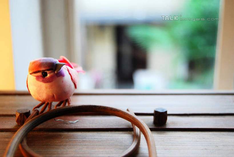 无人,站,横图,室内,特写,白天,正面,窗户,桌面,桌子,鸟,雕塑,阴影,朦胧,模糊,艺术,装饰,反射,木制,鸟类,雕刻,雕像,泥塑,影子,木桌,墙,扭头,注视,玻璃窗,墙壁,墙面,一只,木制品,工艺品,观察,看,站着,转头,观看,纪念,美术,察看,关注,主题,陈列,功能,美学,站立,彩图,全身,木桌子,shxw1