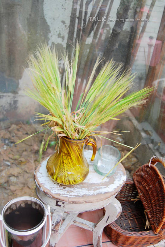 无人,交叉,竖图,俯视,室内,特写,白天,智慧,植物,竹子,花瓶,竹制,艺术,编织,木制,板凳,篮子,陶瓷,凳子,陶瓷制品,文化,绿色,自然,插花,木制品,瓶子,竹篮,生长,成长,竹条,插花艺术,交织,创造,竹制品,创作,想象,穿插,彩图,高角度拍摄,shxw1