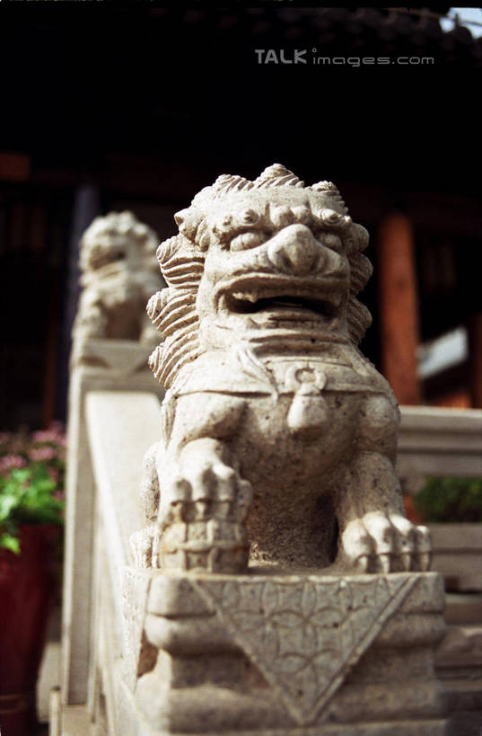 无人,寺庙,竖图,室外,白天,正面,旅游,度假,名胜古迹,标志建筑,地标,建筑,哺乳动物,野生动物,狮子,雕塑,上海,中国,亚洲,阴影,节日,辟邪,遗迹,艺术,装饰,光线,雕刻,雕像,影子,燃烧,古迹,文化,文物,娱乐,建设,古建筑,石雕,真如寺,阳光,动物,香火,工艺品,庙宇,石狮,祈祷,享受,休闲,健康,旅游胜地,放松,许愿,宗教,信仰,纪念,祈求,美术,申,主题,凶猛,陈列,古文明,东亚,普陀区,上海市,中华人民共和国,沪,华东地区,功能,美学,驱邪,祛邪,避邪,守护神,残暴,平安,凶残,彩图,庙,寺,真如镇,shylt1