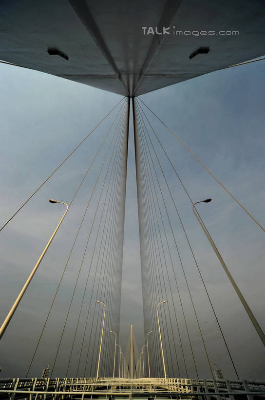 无人,竖图,室外,白天,仰视,旅游,度假,标志建筑,大桥,地标,建筑,桥梁,中国,亚洲,阴影,光线,影子,云,云朵,斜拉桥,桥,云彩,娱乐,建设,蓝色,白云,蓝天,天空,阳光,天,享受,休闲,旅游胜地,放松,晴朗,长江大桥,长江,东亚,中华人民共和国,斜张桥,母亲河,晴空,彩图,低角度拍摄,shzxz1