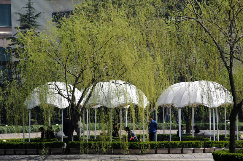 无人,高楼大厦,横图,室外,白天,正面,度假,草地,草坪,河流,美景,水,植物,城市风光,城市,大厦,建筑,摩天大楼,上海,中国,亚洲,波纹,河水,景观,水流,涟漪,娱乐,建设,浦东,草,树,树木,绿色,倒影,水纹,自然,波浪,享受,休闲,景色,放松,生长,成长,申,倒映,陆家嘴,浦东新区,东亚,上海市,中华人民共和国,沪,华东地区,水晕,陆家嘴中心绿地,上海陆家嘴中心绿地,反照,彩图,大楼,高层建筑,高楼,摩天楼,shzxz1