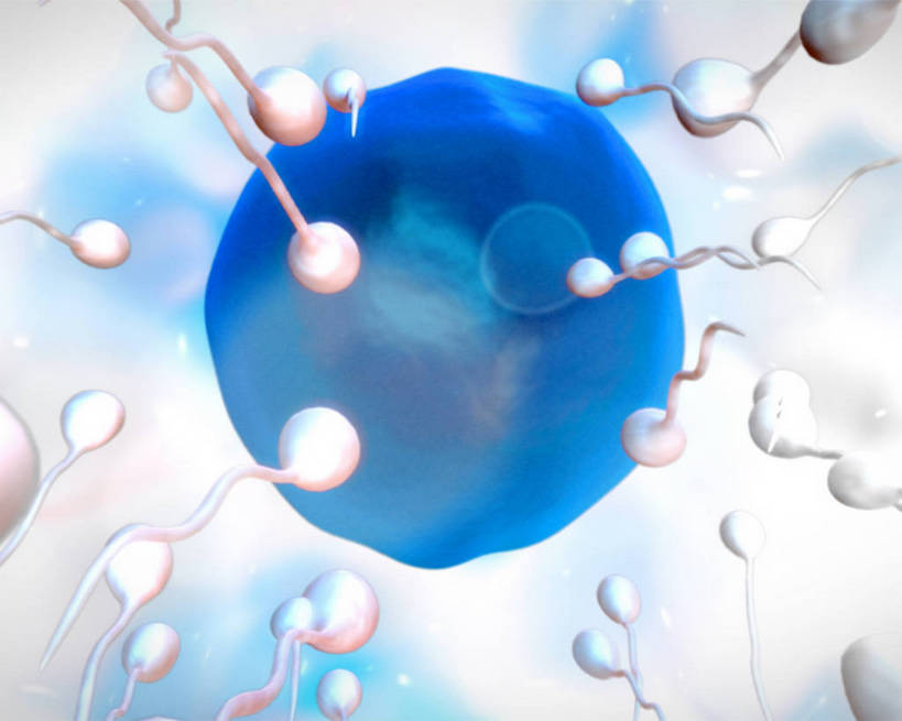 无人,横图,插画,室内,白天,白色背景,正面,数码,科技,微生物,许多,阴影,科学,网络,医学,细胞,很多,高光,几何,计算机图形,合成,图画,画,排列,一个,蓝色,白色,精子,单个,电脑合成图,数码合成图,生物学,合成图,卵子,漫画,卵细胞,写实,具体,具象,摆列,生殖细胞,单倍体生殖细胞,雄配子,雄性生殖细胞,雄性细胞,彩图,布列,分列