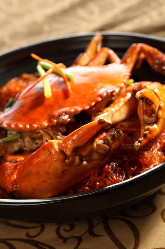 面食,面条,蟹,无人,竖图,俯视,室内,特写,白天,烹饪,中餐,餐桌,桌子,螃蟹,布料,陶瓷,葱,青葱,面,料理,食品,陶瓷制品,布纹,粉丝,菜肴,美食,桌布,食物,一个,黑色,餐巾,容器,台布,碗,中式,佳肴,单个,餐台,中华料理,储藏,储存,甲壳动物,冬粉,餐桌布,彩图,高角度拍摄,贮存,shjb1,粉丝蟹煲