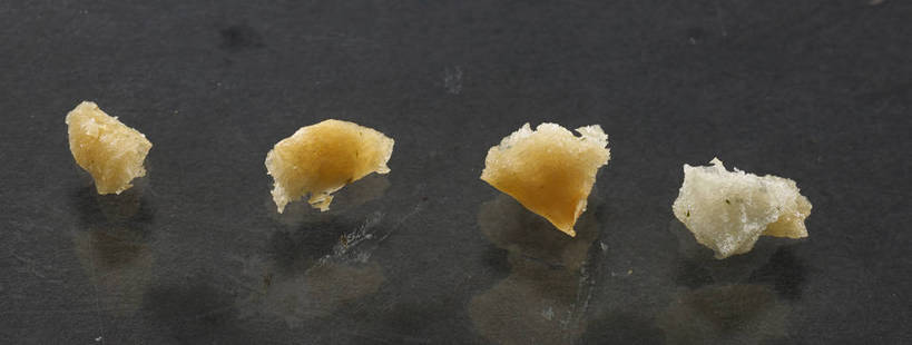 点心,无人,横图,俯视,室内,特写,白天,餐桌,桌子,一排,朦胧,模糊,整齐,食品,破坏,薯片,破损,食物,排列,黄色,零食,四块,餐台,损坏,队列,垃圾食品,彩图,高角度拍摄,shjb1,喀吱脆