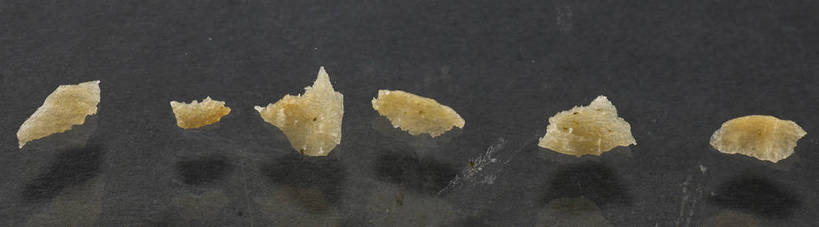 点心,无人,横图,俯视,室内,特写,白天,餐桌,桌子,一排,许多,朦胧,模糊,整齐,食品,很多,破坏,薯片,破损,食物,排列,黄色,零食,餐台,损坏,队列,垃圾食品,彩图,高角度拍摄,shjb1,喀吱脆