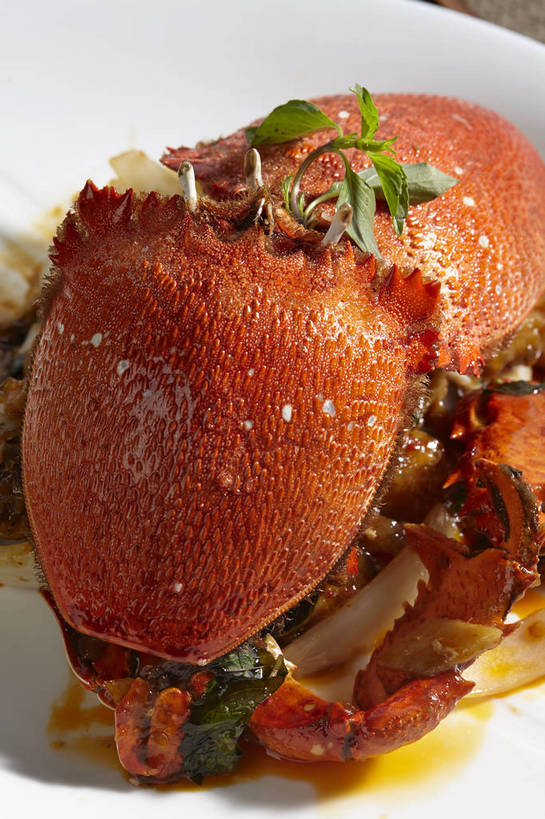 蟹,无人,竖图,俯视,室内,特写,白天,烹饪,中餐,蔬菜,洋葱,餐具,新鲜,螃蟹,碟子,盘,香菜,调料,酱料,酱汁,佐料,料理,食品,调味品,调味料,酱,菜肴,美食,食物,一个,白色,盘子,碟,中式,佳肴,有机食品,绿色食品,单个,中华料理,玉葱,川菜,青蟹,胡菜,香荽,原荽,园荽,芫荽,胡荽,莞荽,芫茜,芫蓿,莚葛草,莚荽菜,甲壳动物,四川菜,荷兰葱,圆葱,洋葱头,球葱,葱头,彩图,高角度拍摄,香辣蟹,肉蟹,shjb1