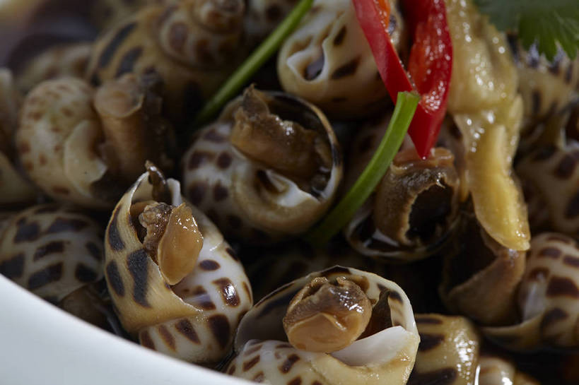 无人,横图,俯视,室内,特写,白天,烹饪,中餐,辣椒,蔬菜,贝壳,叶子,一堆,许多,堆叠,堆积,新鲜,陶瓷,香菜,调料,酱料,酱汁,佐料,料理,食品,绿叶,陶瓷制品,海螺,调味品,很多,调味料,酱,菜肴,美食,海洋生物,食物,一个,容器,碗,中式,嫩叶,佳肴,有机食品,绿色食品,单个,中华料理,储藏,堆,软体动物,峨螺,储存,水生动物,水生物,海底动物,辣角,红海椒,大椒,辣虎,广椒,胡菜,香荽,原荽,园荽,芫荽,胡荽,莞荽,芫茜,芫蓿,莚葛草,莚荽菜,叶,叶片,贝类外壳,海螺壳,软体动物外壳,辣子,红辣椒,海椒,番椒,彩图,高角度拍摄,东风螺,花螺,贮存,shjb1