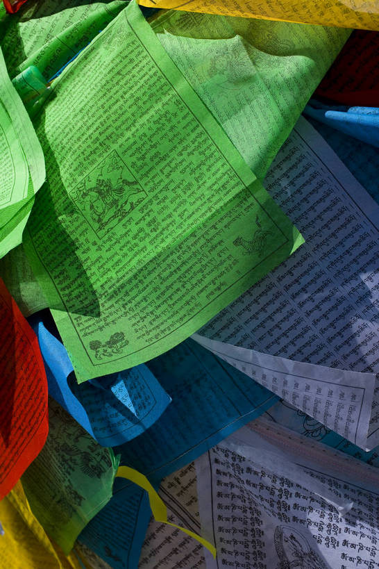 宫殿,竖图,室外,白天,旅游,度假,神秘,名胜古迹,标志建筑,地标,建筑,旗帜,中国,亚洲,朝拜,遗迹,房屋,古迹,历史,文化,文物,娱乐,建设,传统,古建筑,拉萨,西藏,经幡,少数民族,民族,古代,祈祷,享受,休闲,旅游胜地,放松,摄影,宗教,佛教,宫廷,经书,藏,古文明,东亚,佛陀,经文,西藏自治区,藏传佛教,八角街,首府,中华人民共和国,大昭寺,西南地区,藏文,拉萨市,王宫,古远,八廓街,彩图,皇宫,庙,中国少数民族,bj174