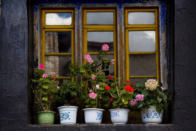 宫殿,横图,室外,白天,旅游,度假,神秘,名胜古迹,窗户,标志建筑,地标,建筑,花盆,玻璃,中国,亚洲,朝拜,遗迹,木头,房屋,古迹,历史,文化,文物,娱乐,建设,传统,古建筑,拉萨,西藏,少数民族,民族,窗台,花,古代,祈祷,享受,休闲,旅游胜地,放松,摄影,宗教,佛教,宫廷,经书,藏,古文明,东亚,佛陀,西藏自治区,藏传佛教,八角街,首府,中华人民共和国,大昭寺,西南地区,拉萨市,王宫,古远,八廓街,彩图,皇宫,庙,中国少数民族,bj174