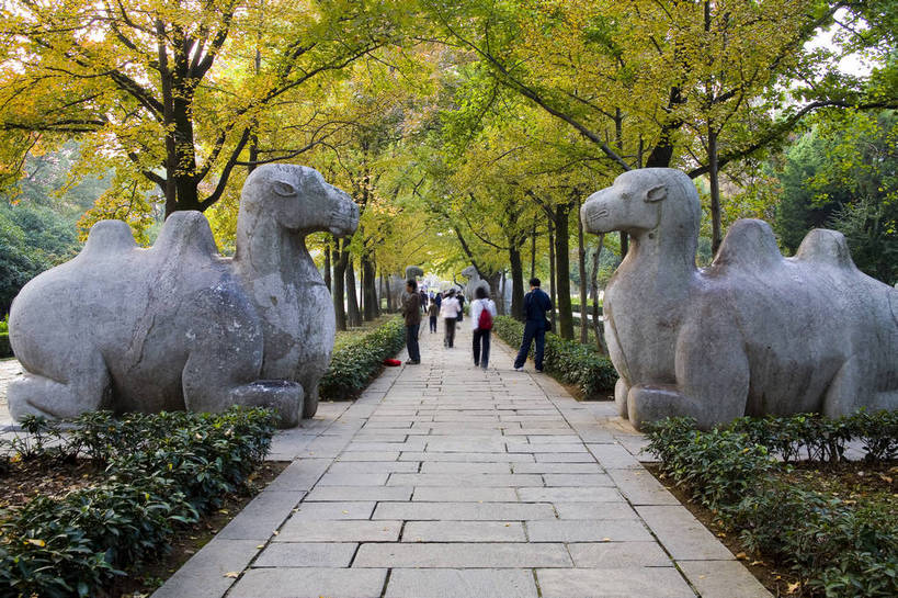 横图,彩色,室外,白天,旅游,度假,名胜古迹,标志建筑,地标,建筑,野生动物,雕塑,南京,中国,遗迹,艺术,装饰,雕刻,雕像,塑像,图片,建筑群,古典,古迹,文物,娱乐,建设,古建筑,江苏,石雕,动物,工艺品,享受,休闲,旅游胜地,放松,摄影,纪念,美术,中国文化,主题,凶猛,参观,陈列,古文明,功能,美学,残暴,凶残,旅行,游览,孝陵,传统文化,bj174