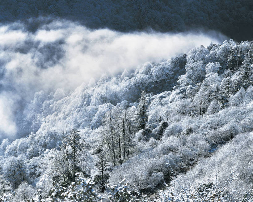 横图,俯视,彩色,室外,白天,旅游,中国,亚洲,壮观,景观,山峰,雪景,云,云海,山峦,云雾,自然,远景,摄影,人文景观,雄伟,东亚,地貌,四川,中华人民共和国,旅行,卧龙,地质,bj174