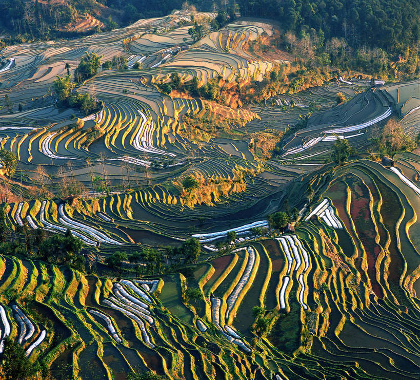 农田,横图,航拍,彩色,室外,白天,旅游,梯田,田园,中国,亚洲,景观,云南,自然,村庄,远景,摄影,人文景观,耕作,鸟瞰,东亚,地貌,元阳,中华人民共和国,旅行,地质,bj174