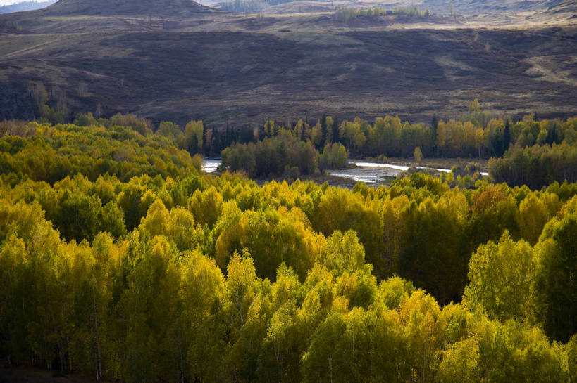 无人,横图,彩色,室外,白天,旅游,度假,名胜古迹,树林,标志建筑,地标,建筑,中国,亚洲,遗迹,水潭,古迹,文物,娱乐,建设,古建筑,树木,自然,享受,休闲,旅游胜地,放松,摄影,自然风光,杉树,古文明,东亚,新疆,中华人民共和国,阿勒泰,旅行,白哈巴,bj174