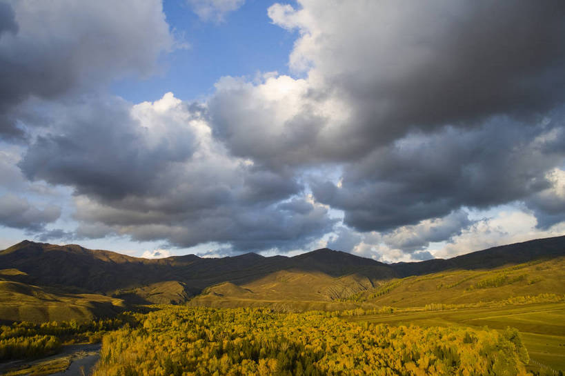 无人,横图,彩色,室外,白天,旅游,度假,名胜古迹,树林,标志建筑,地标,建筑,中国,亚洲,遗迹,围栏,古迹,文物,娱乐,建设,古建筑,树木,白云,天空,自然,享受,休闲,旅游胜地,放松,摄影,远山,自然风光,杉树,古文明,东亚,新疆,中华人民共和国,阿勒泰,旅行,白哈巴,bj174