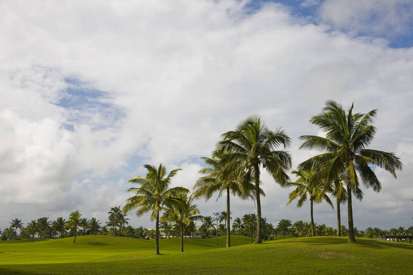 无人,公园,横图,彩色,室外,白天,旅游,草坪,树林,植物,椰树,叶子,中国,亚洲,高尔夫,景观,绿叶,高尔夫球场,树,树木,海南,绿色,天空,自然,绿地,休闲,嫩叶,旅游胜地,摄影,海南省,生长,成长,度假村,东亚,中华人民共和国,华南地区,琼,叶,叶片,棕榈,椰子树,旅行,博鳌,博鳌镇,琼东,琼海,琼海市,亚洲论坛国际会议中心,bj174