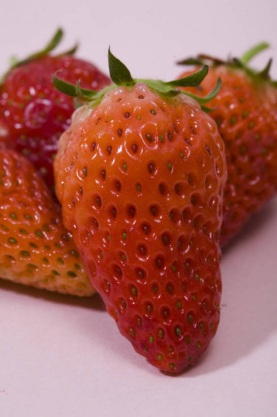 竖图,彩色,特写,白天,草莓,静物,水果,中国,亚洲,图片,食品,排列,红色,多个,竖,摄影,东亚,影棚拍摄,bj174