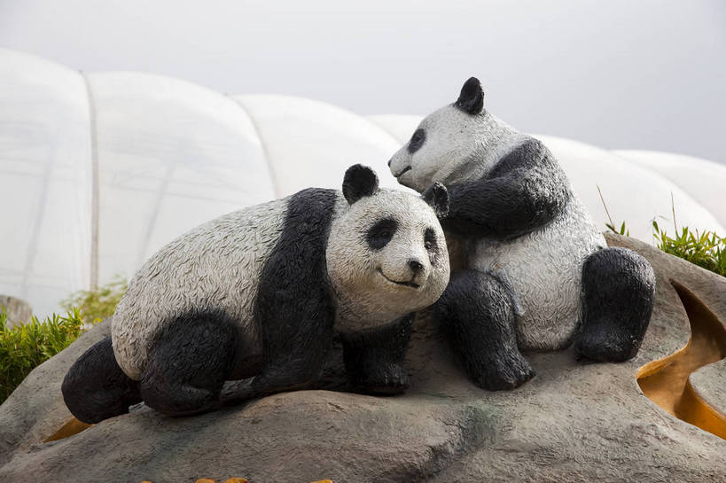 无人,吃,横图,彩色,室外,白天,旅游,度假,石头,名胜古迹,标志建筑,地标,建筑,竹子,熊猫,香港,中国,遗迹,石子,图片,古迹,文物,娱乐,建设,古建筑,海洋公园,动物,享受,休闲,国宝,旅游胜地,放松,可爱,珍稀动物,都市风光,文明,中国文化,古文明,石块,岩石,旅行,bj174