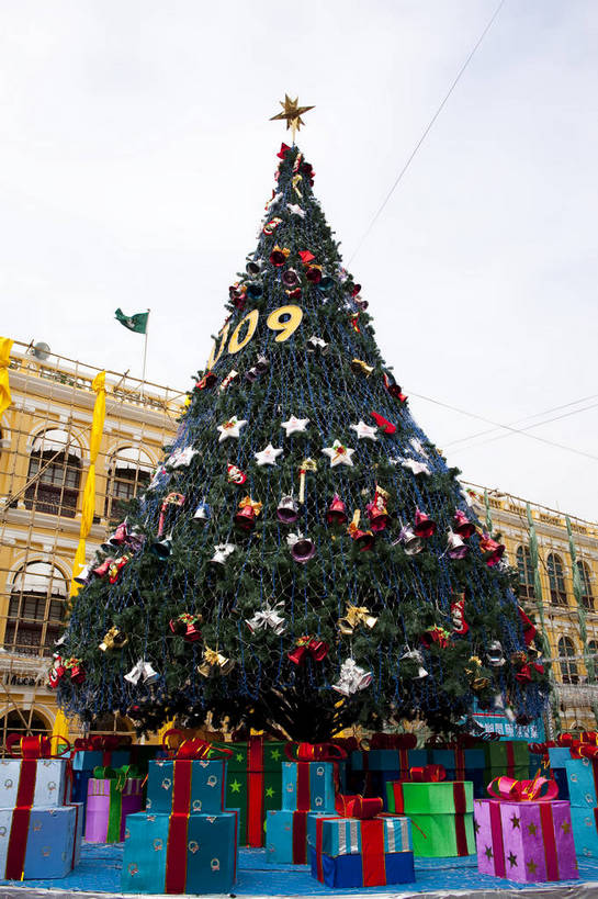 无人,广场,竖图,彩色,室外,特写,白天,旅游,度假,名胜古迹,标志建筑,城市,地标,建筑,礼物,澳门,中国,亚洲,节日,遗迹,图片,圣诞树,古迹,文物,娱乐,建设,现代,古建筑,现代建筑,地标建筑,享受,休闲,旅游胜地,放松,都市风光,文明,中国文化,气氛,古文明,东亚,港澳台,中华人民共和国,澳门特别行政区,澳,繁荣,旅行,议事亭前地,bj174