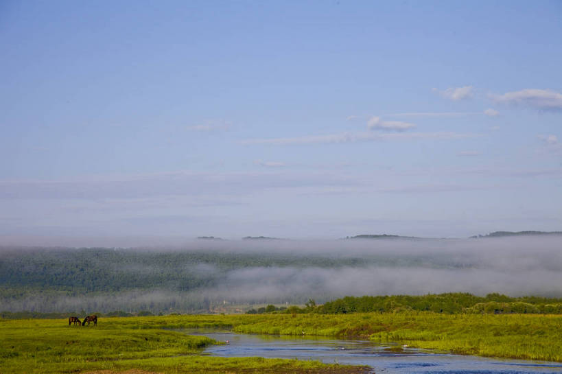 无人,横图,彩色,室外,白天,草地,草原,田园,马,中国,亚洲,放牧,图片,水塘,白云,天空,自然,动物,蒙,摄影,风光,原野,东亚,内蒙古,中华人民共和国,华北地区,内蒙古自治区,额尔古纳,bj174