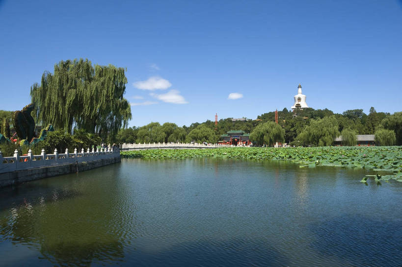 无人,摄影师,横图,彩色,室外,白天,旅游,名胜古迹,建筑,北海公园,北京,中国,亚洲,古老,古迹,历史,文化,文物,白塔,遗址,树木,名胜,风景,蓝天,阳光,荷塘,晴天,文明,摄像师,气势,幽静,荷花,bj174