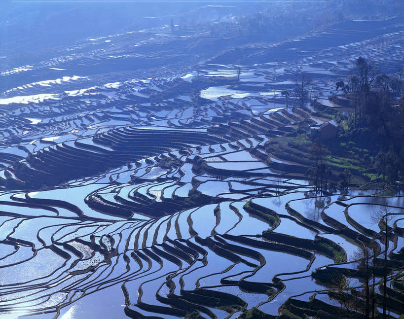 无人,农田,横图,俯视,彩色,室外,特写,白天,旅游,度假,庄稼,梯田,农作物,美景,名胜古迹,田园,标志建筑,地标,建筑,中国,亚洲,遗迹,图片,稻田,景观,古迹,文物,娱乐,建设,古建筑,云南,自然,享受,休闲,旅游胜地,景色,放松,摄影,宁静,自然风光,古文明,东亚,元阳,云南省,中华人民共和国,西南地区,滇,红河,红河州,红河哈尼族彝族自治州,哀牢山,元阳梯田,元阳县,耕地,庄稼田,元阳哈尼族梯田,bj174