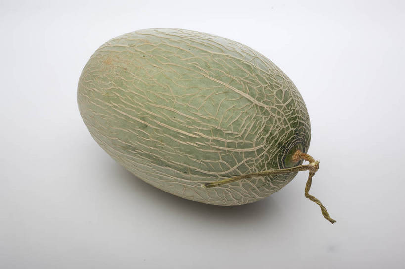 横图,彩色,室内,特写,抠图,白色背景,水果,中国,亚洲,完整,新鲜,图片,纹理,哈密瓜,瓜,美味,食品,甜瓜,营养,食物,一个,绿色,摄影,浅绿色,网纹瓜,甘瓜,无公害,东亚,健康食品,影棚拍摄,长香玉甜瓜,bj174