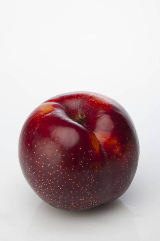 竖图,彩色,室内,特写,抠图,白色背景,李子,水果,中国,亚洲,完整,新鲜,光泽,图片,美味,食品,暗红,营养,食物,一个,紫色,摄影,无公害,东亚,黑布林,健康食品,布冧,影棚拍摄,中国李,bj174