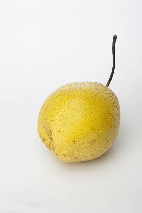 竖图,彩色,室内,特写,抠图,白色背景,梨,水果,中国,亚洲,完整,新鲜,图片,美味,食品,营养,食物,一个,黄色,香梨,摄影,无公害,东亚,健康食品,生梨,影棚拍摄,雪花梨,bj174