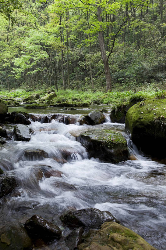 无人,竖图,彩色,室外,白天,旅游,度假,石头,美景,名胜古迹,树林,水,标志建筑,地标,建筑,张家界,中国,遗迹,图片,景观,青苔,苔藓,古迹,文物,娱乐,建设,古建筑,天空,小溪,自然,享受,休闲,旅游胜地,安静,放松,竖,摄影,风光,中国文化,自然风光,古文明,湖南,旅行,金鞭溪,bj174