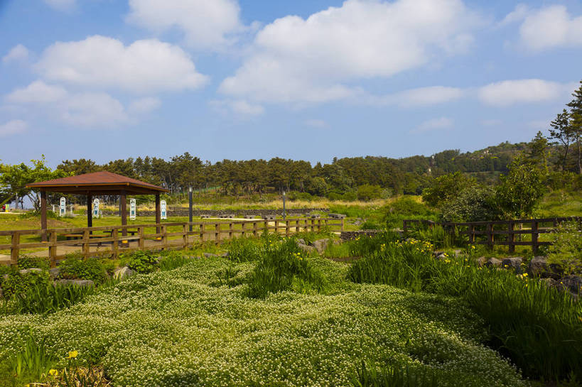 手,无人,横图,彩色,室外,白天,旅游,度假,草坪,海岛,名胜古迹,标志建筑,地标,建筑,雕塑,济州岛,韩国,亚洲,遗迹,图片,野花,古迹,文物,娱乐,建设,古建筑,享受,休闲,旅游胜地,放松,摄影,古文明,东亚,大韩民国,济州,济州道,济州特别自治道,特别自治道,西归浦,西归浦市,旅行,南朝鲜,南韩,独立岩,bj174