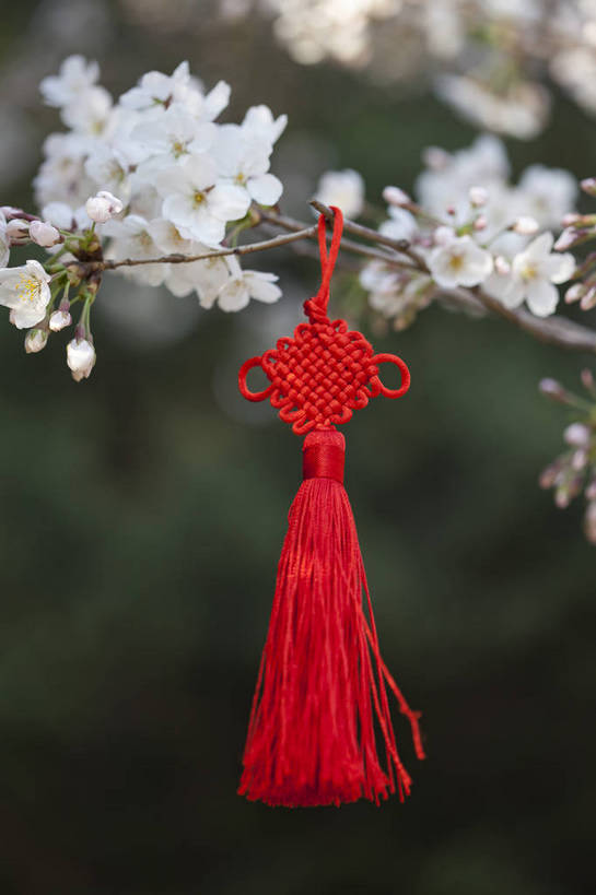 公园,竖图,彩色,室外,特写,白天,背景,旅游,度假,名胜古迹,标志建筑,地标,建筑,刺绣,北京,中国,悬挂,遗迹,图片,古迹,文物,娱乐,建设,古建筑,花卉,自然,福字,中国结,享受,休闲,香包,旅游胜地,放松,竖,摄影,风光,古文明,旅行,玉渊潭公园,bj174