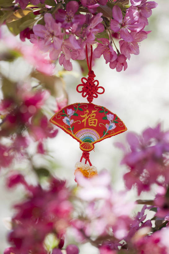 公园,竖图,彩色,室外,特写,白天,背景,旅游,度假,名胜古迹,标志建筑,地标,建筑,海棠花,刺绣,北京,中国,亚洲,悬挂,遗迹,图片,首都,古迹,文物,娱乐,建设,古建筑,花卉,自然,福字,中国结,享受,休闲,香包,旅游胜地,放松,竖,摄影,风光,古文明,东亚,海淀区,中华人民共和国,北京市,京,北平,华北地区,朝阳区,旅行,北京元大都城垣遗址公园,元大都土城遗址,元大都遗址,bj174