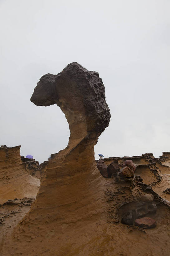 无人,竖图,彩色,室外,白天,旅游,度假,礁石,美景,沙滩,台湾,中国,亚洲,图片,娱乐,风景区,自然,享受,休闲,旅游胜地,放松,摄影,东亚,港澳台,中华人民共和国,台湾省,基隆,基隆市,海滩,旅行,台,野柳风景区,bj174