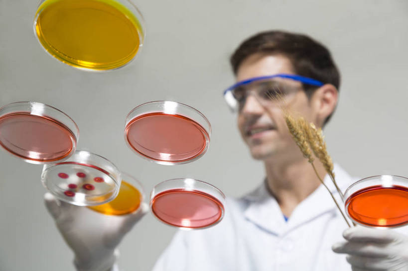 西方人,中年人,老年人,药剂师,科学家,横图,彩色,室内,白天,抠图,白色背景,正面,成功,机器,实验,研发,科技,北京,中国,欧洲人,仅一个人,服装,研究,科学,图片,实验室,设备,衣服,白色,健康,机械,成熟,活力,自信,摄影,服饰,科研,培育,衣着,白大褂,工作装,穿着,化验,检验,实验服,精明,衣饰,化学家,试验,男人,男性,年轻男性,年轻人,科学工作者,半身,影棚拍摄,愉快,实验衣,bj174