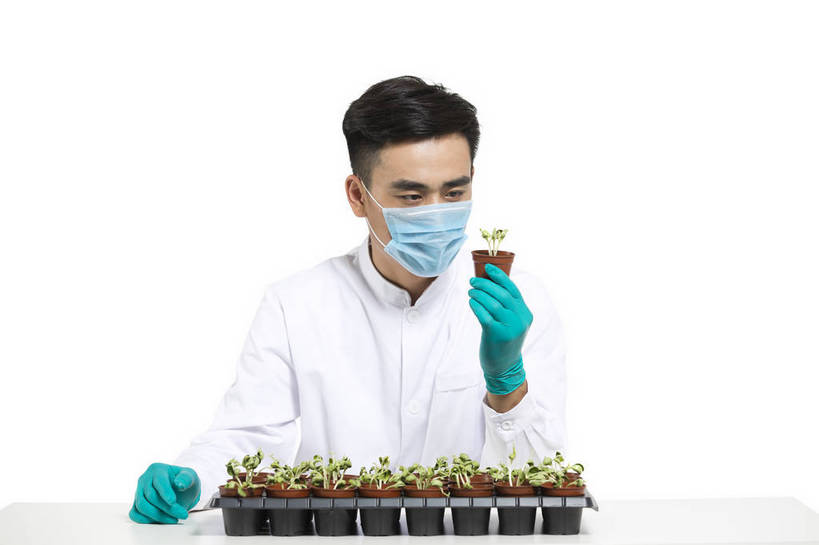 东方人,中年人,药剂师,科学家,横图,彩色,室内,白天,抠图,白色背景,正面,成功,机器,实验,研发,科技,植物,北京,中国,仅一个人,服装,研究,科学,图片,实验室,设备,衣服,白色,健康,机械,成熟,活力,自信,摄影,服饰,科研,培育,衣着,白大褂,工作装,穿着,化验,检验,实验服,精明,衣饰,化学家,试验,男人,男性,年轻男性,亚洲人,中国人,年轻人,科学工作者,半身,影棚拍摄,愉快,实验衣,bj174