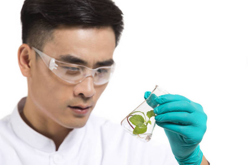 东方人,中年人,药剂师,科学家,横图,彩色,室内,白天,抠图,白色背景,正面,成功,机器,实验,研发,科技,植物,北京,中国,仅一个人,服装,研究,科学,图片,实验室,设备,衣服,白色,健康,机械,成熟,活力,自信,摄影,服饰,科研,培育,衣着,白大褂,工作装,穿着,化验,检验,实验服,精明,衣饰,化学家,试验,男人,男性,年轻男性,亚洲人,中国人,年轻人,科学工作者,半身,影棚拍摄,愉快,实验衣,bj174